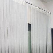 برادي شيفون